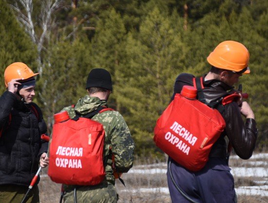 Новосибирцев предупредили о природных пожарах